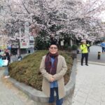 Indahnya Bunga Sakura