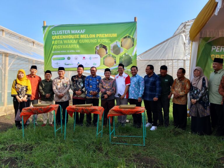 Dari Jember ke Gunungkidul, Lazawa Darul Hikam Berkolaborasi dengan Wakaf Mulia Institut Bangun Greenhouse Melon Premium